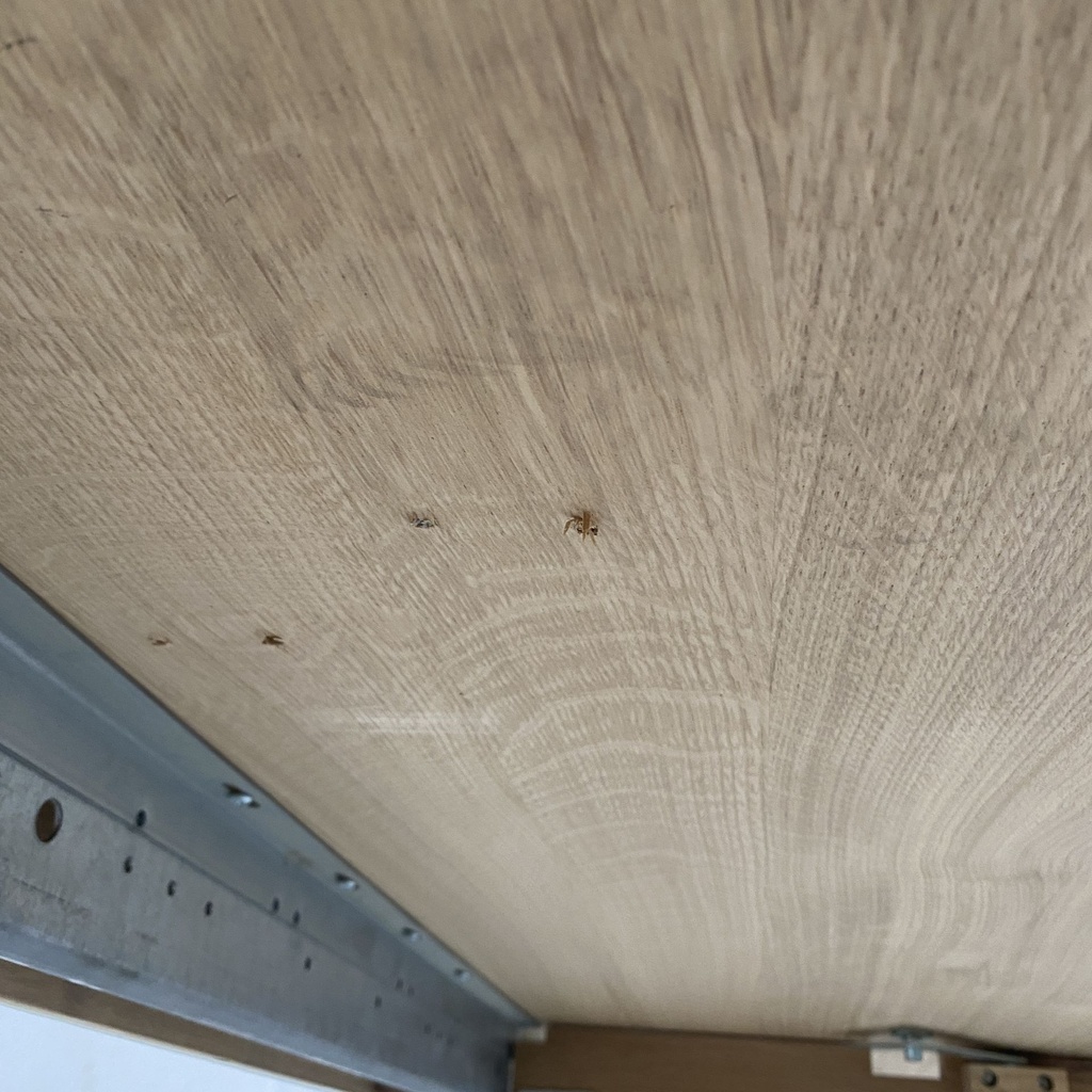 Bok extendable dining table