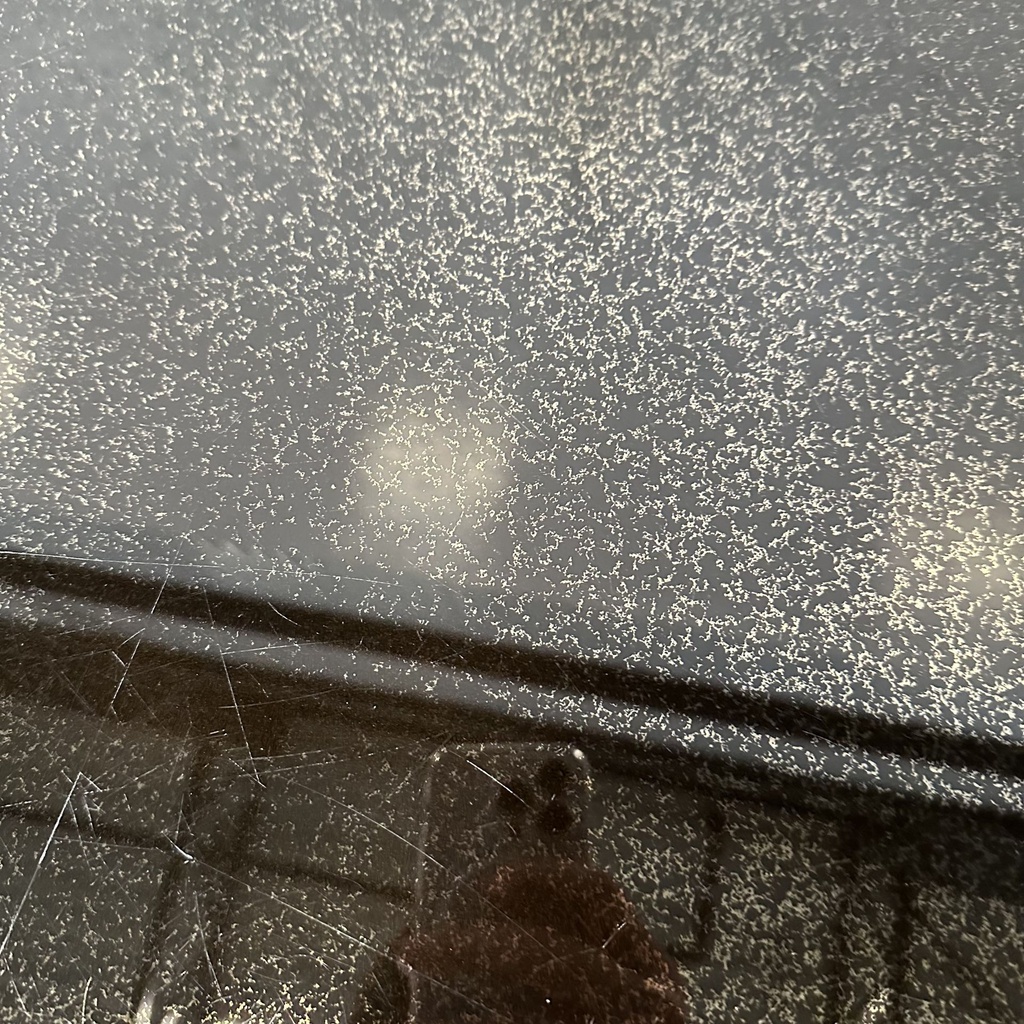 Aged mirror tray