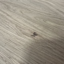 Casale dining chair