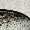 Gate wall mirror