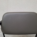 DC lounge chair - olive