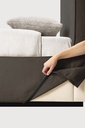 Revive bed removable cover TEMPLATE