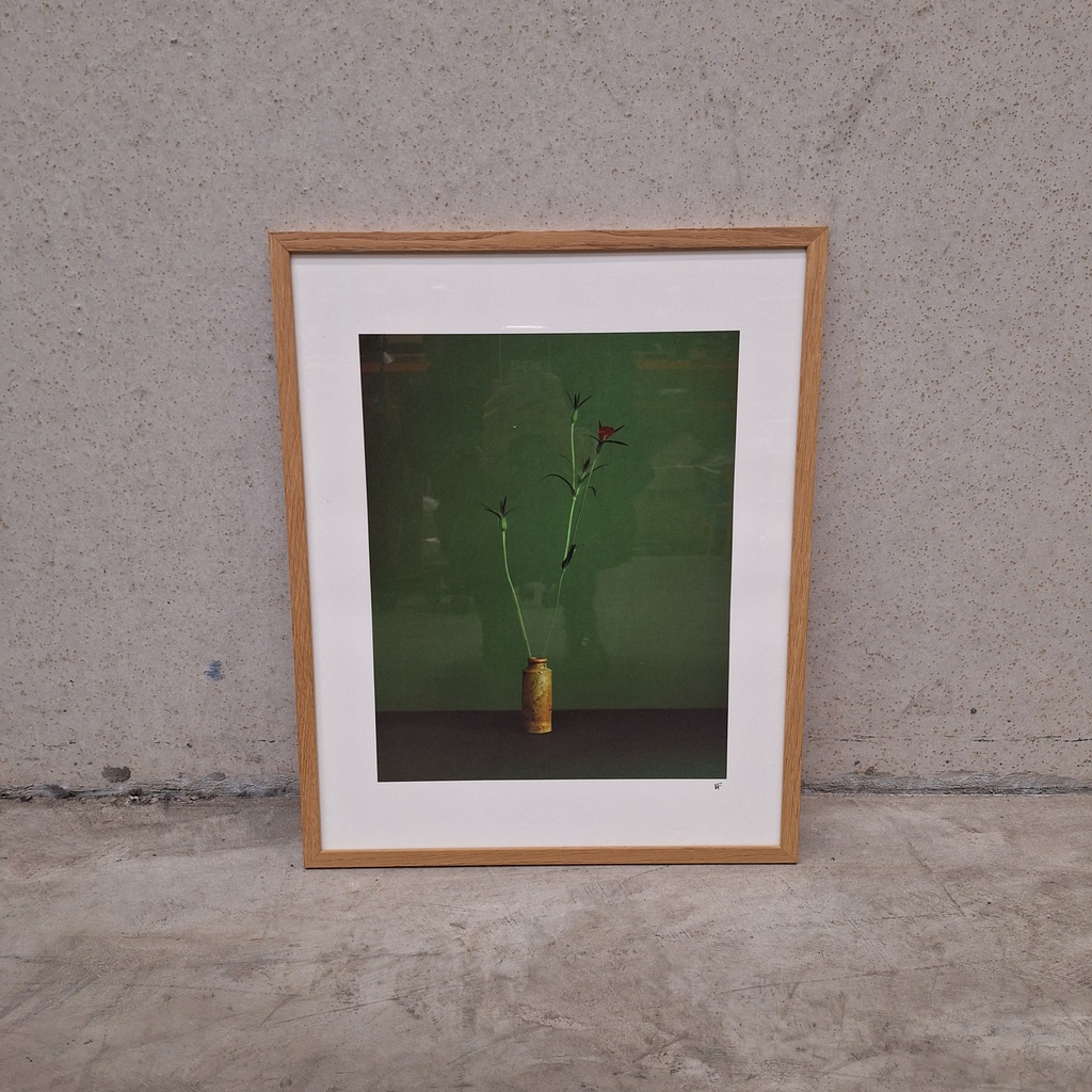 Corncockle Poster incl. oak frame (40x50cm)