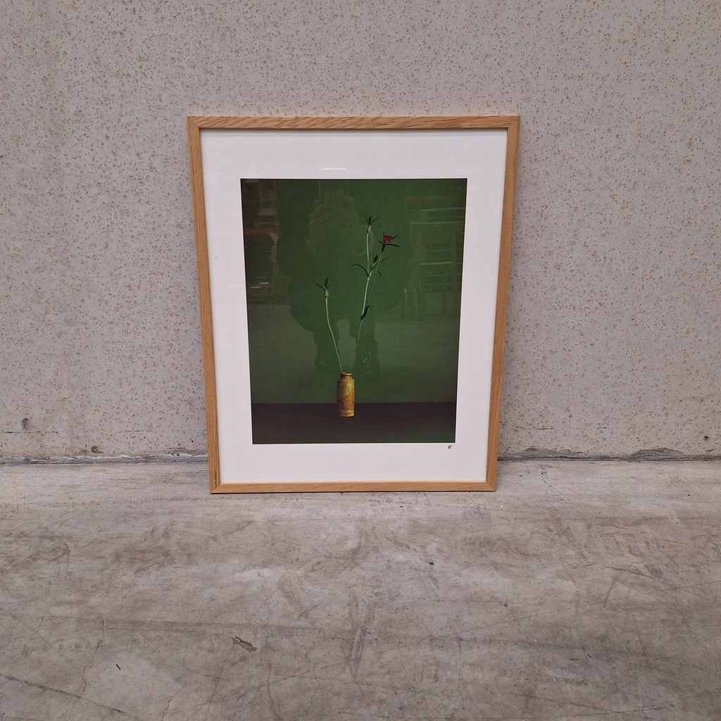 Corncockle Poster incl. oak frame (40x50cm)