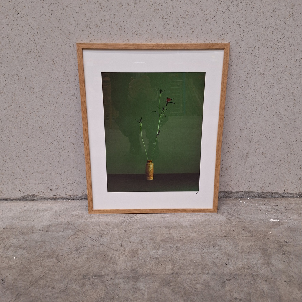 Corncockle Poster incl. oak frame (40x50cm)