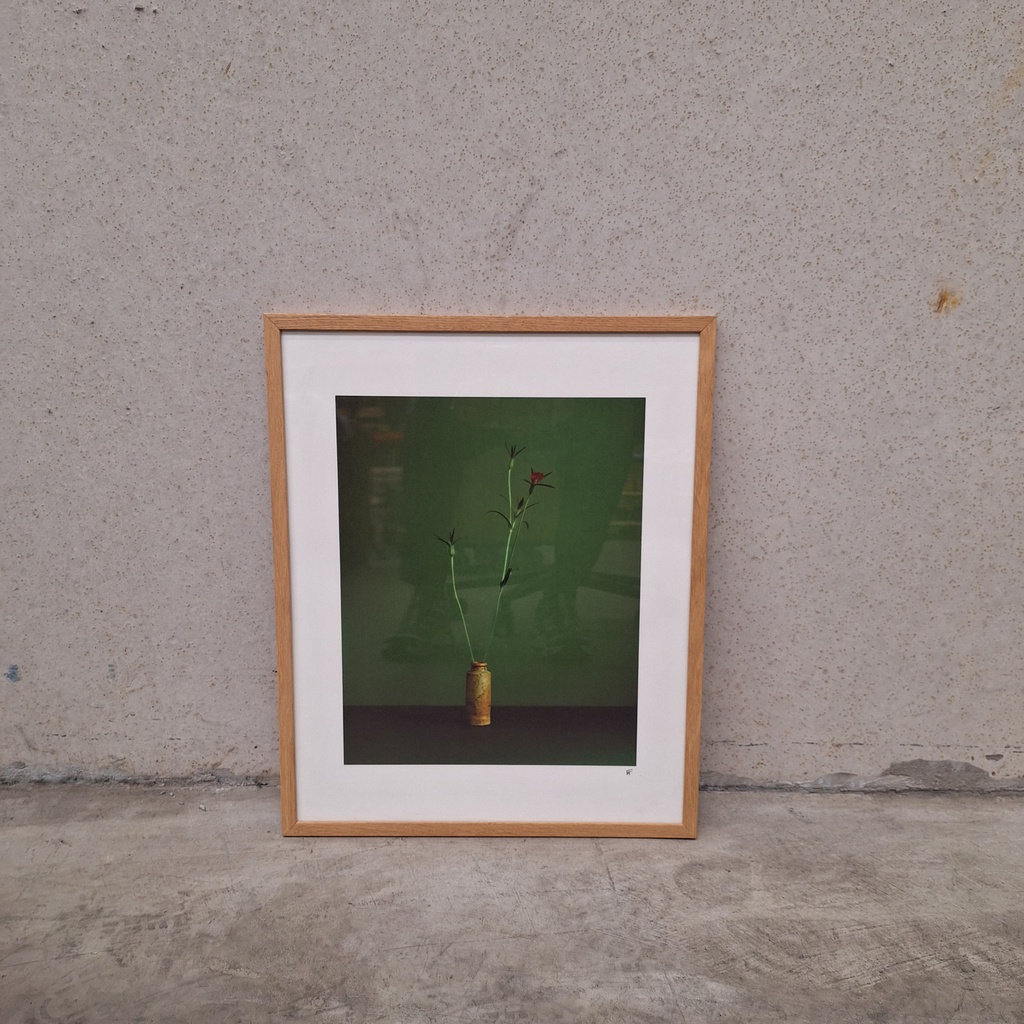 Corncockle Poster incl. oak frame (40x50cm)