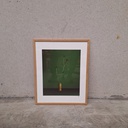 Corncockle Poster incl. oak frame (40x50cm)