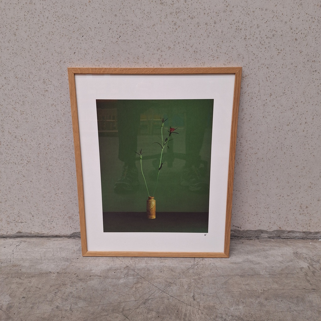 Corncockle Poster incl. oak frame (40x50cm)