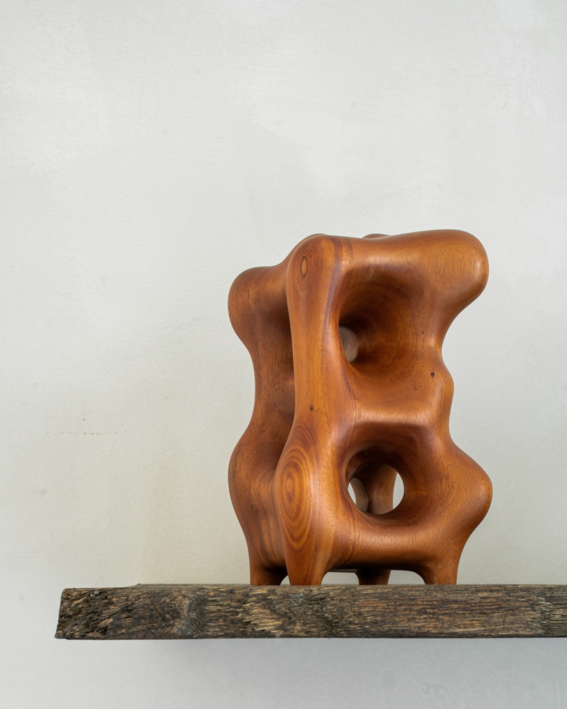 Organic sculpture TEMPLATE