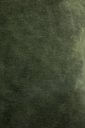 Velvet cushion TEMPLATE