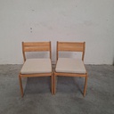 Jack outdoor dining chair with cushion (Set of 2)