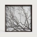 Tree wooden tray