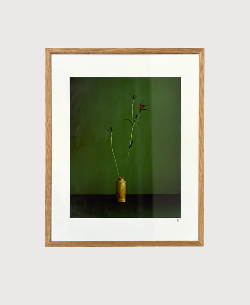 Corncockle Poster inclusief eiken kader (40x50cm)